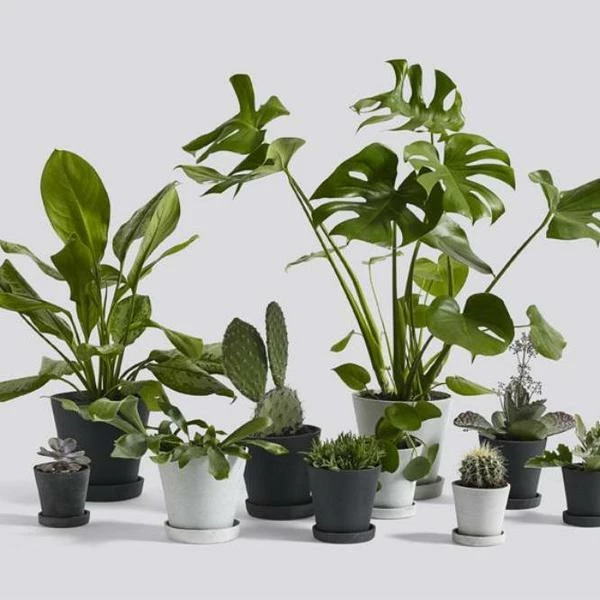 New ๐ HAY Macetero Flowerpot L Black ๐งจ 4 HAY Macetero Flowerpot L Black