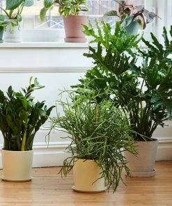 HAY Xl Antraciet Botanical Family Pot