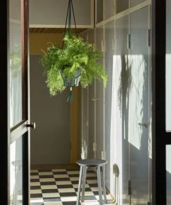 HAY Phanta Plant Hanger