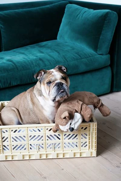 Budget 🌟 HAY Caja Plegable L 🥰 4 HAY Caja Plegable L