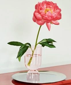 HAY Bottoms Up Vaas S Roze