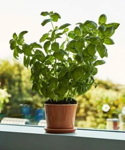 HAY Botanical Family Pot L Caramel