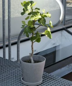 HAY Maceta Flowerpot with Saucer XL Grey