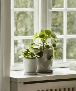 Cheapest ✔️ HAY Pot De Fleur Beton Flowerpot Taille M 🛒 15 HAY Pot De Fleur Beton Flowerpot Taille M