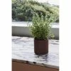 Buy ๐ฅ HAY Pot A Herbes Facade Terracotta S โค๏ธ 2 HAY Pot A Herbes Facade Terracotta S