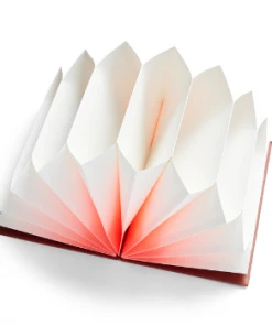 HAY Pleated Dokument Folder Plissé