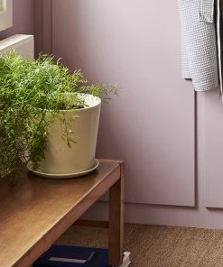 Outlet ๐งจ HAY Botanical Family Saucer L - Off White โค๏ธ 7 HAY Botanical Family Saucer L - Off White