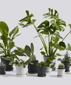 HAY Macetero Flowerpot S Green