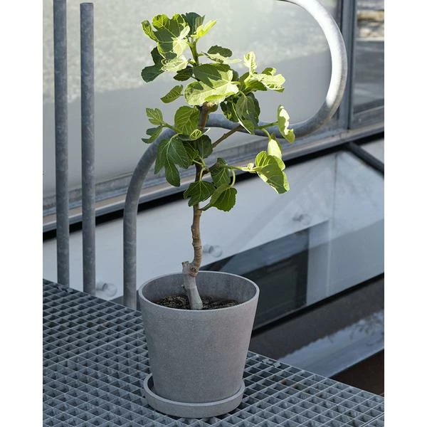 Cheapest ✔️ HAY Pot De Fleur Beton Flowerpot Taille M 🛒 5 HAY Pot De Fleur Beton Flowerpot Taille M