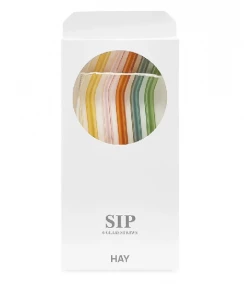 HAY SIp Pack of Six Multicolor Straws