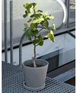 HAY Pot De Fleur Beton Flowerpot Taille S