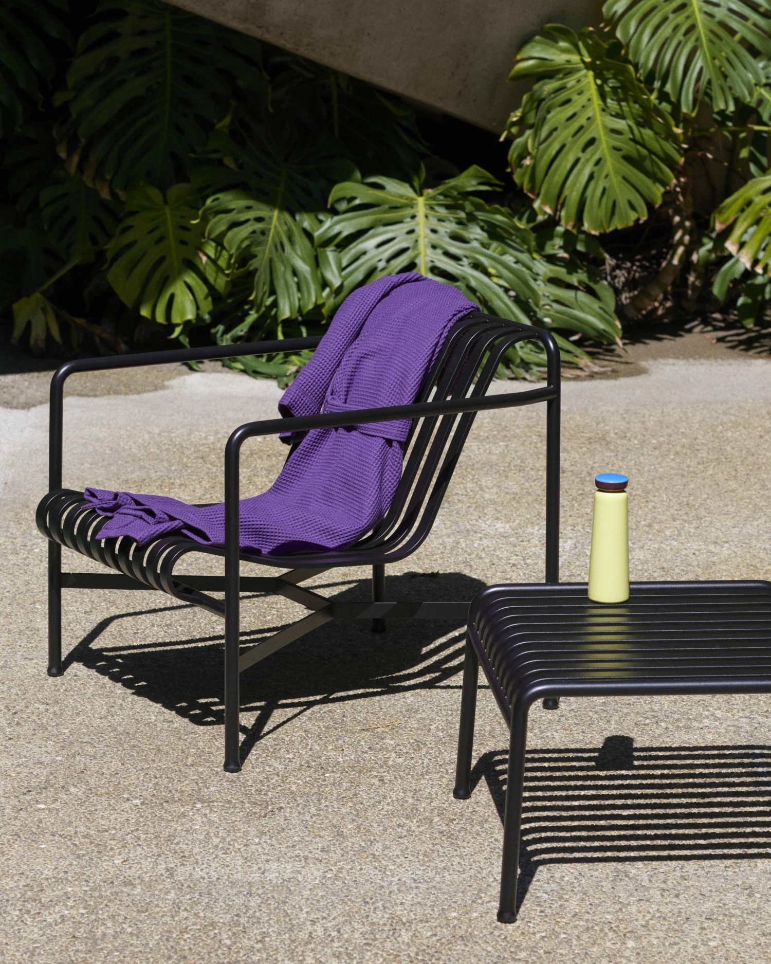 Top 10 ๐ HAY bottiglia termica 0,5 litri ๐ฅ 6 HAY bottiglia termica 0,5 litri