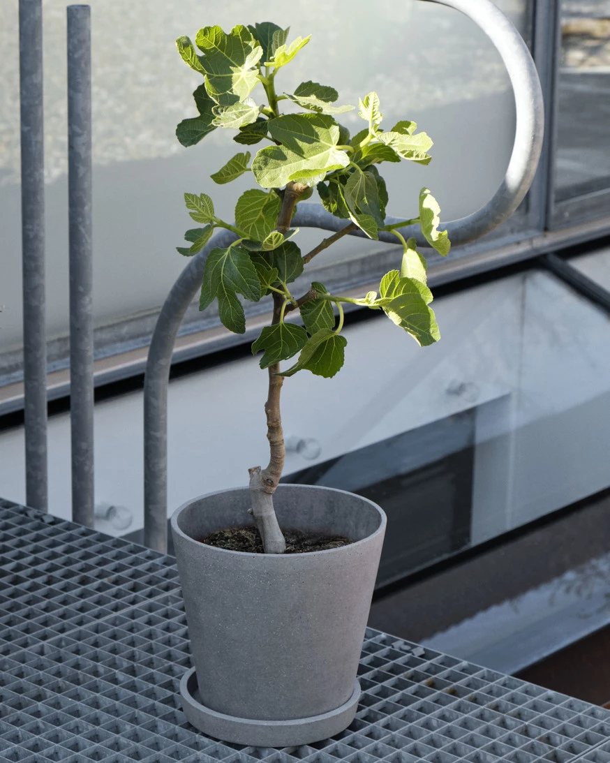 Best Sale π HAY Flower Pot with Saucer XL π 5 HAY Flower Pot with Saucer XL