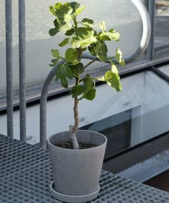 HAY Flower Pot with Saucer Small