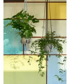 HAY Phanta Plant Hanger