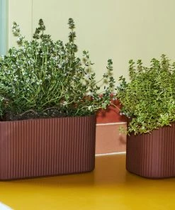 Cheapest 🥰 HAY Facade Herb Pot M 🥰 13 HAY Facade Herb Pot M