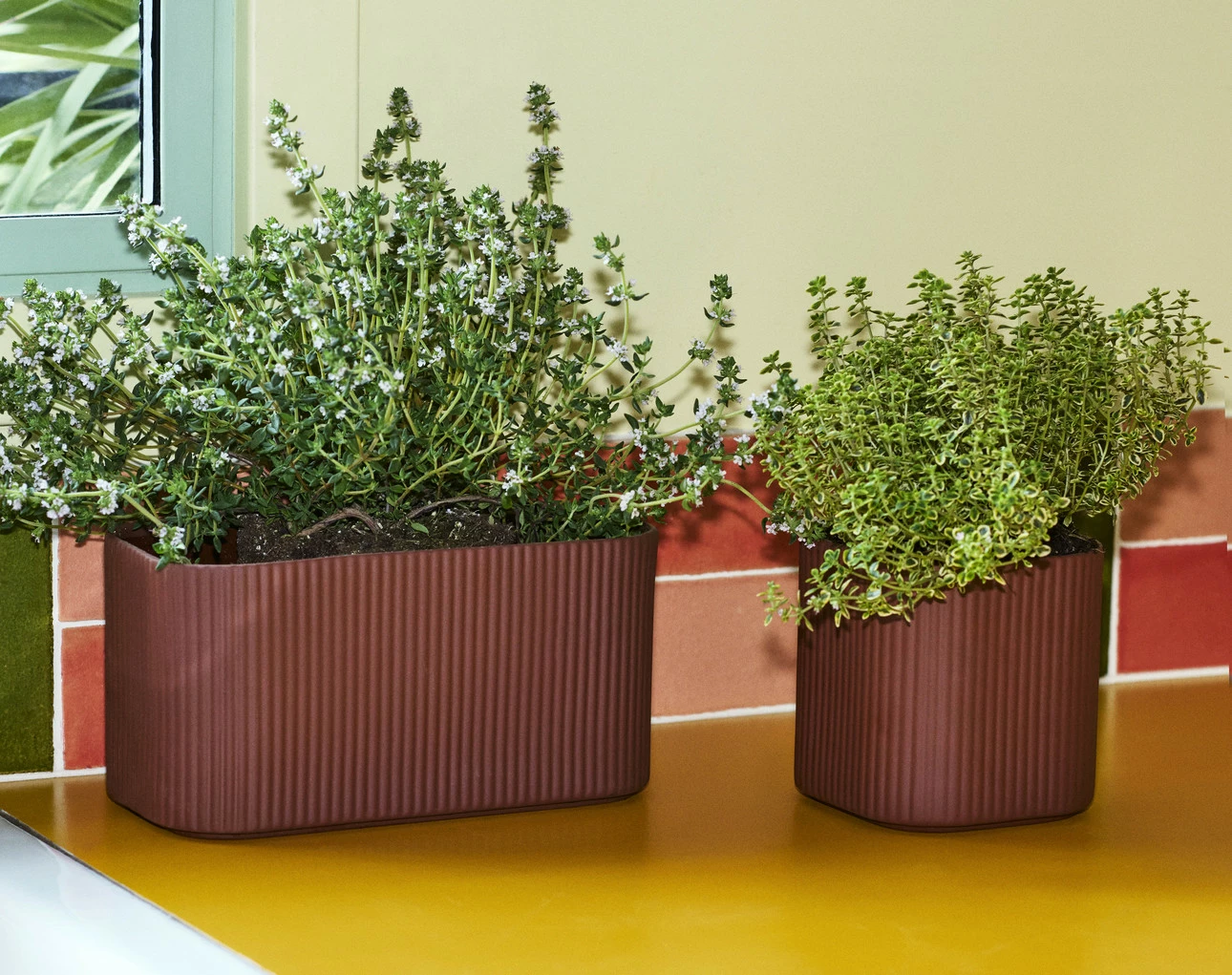 Cheapest 🥰 HAY Facade Herb Pot M 🥰 8 HAY Facade Herb Pot M