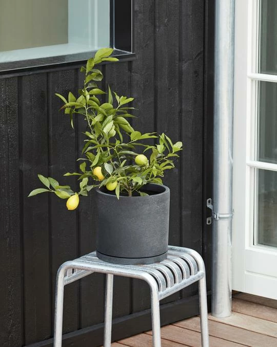 Wholesale ❤️ HAY Maceta Plant Pot with Saucer XXL Grey ✔️ 4 HAY Maceta Plant Pot with Saucer XXL Grey