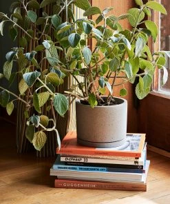 HAY Plant Pot with Saucer XXL Grey