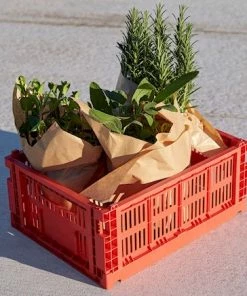 HAY cassetta contenitore M red