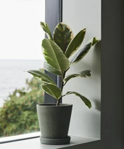 HAY XL Green Flowerpot with Saucer