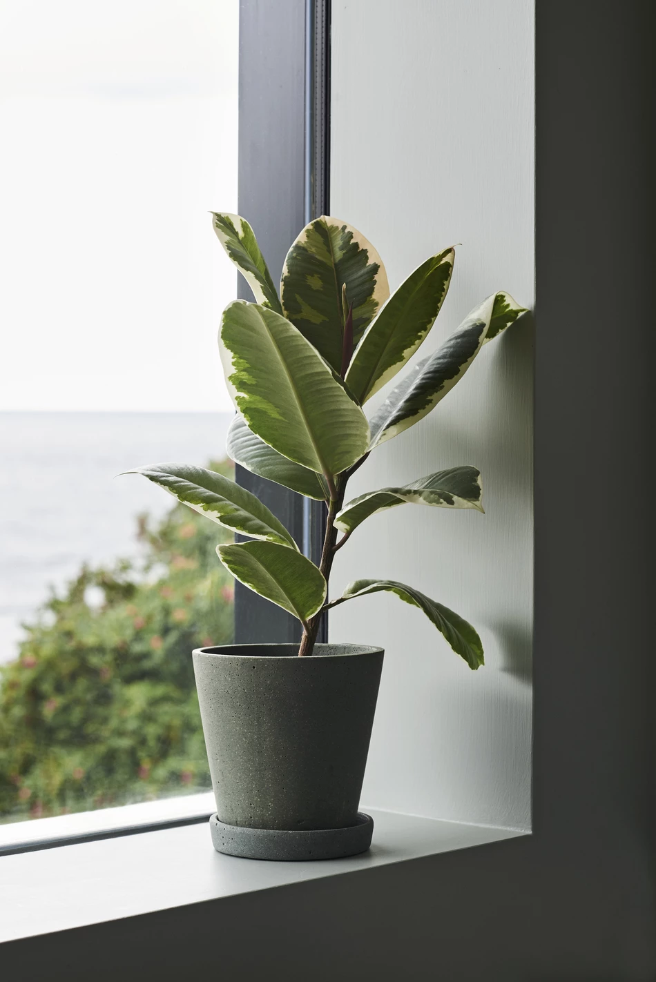 Discount 👏 HAY XL Green Flowerpot with Saucer 👏 4 HAY XL Green Flowerpot with Saucer