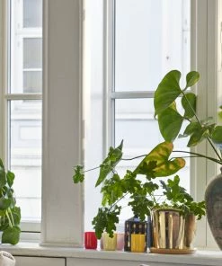 HAY Botanical Family Pot Brass Large